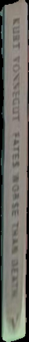 River of gold : Precolumbian treasures from Sitio Conte live spine