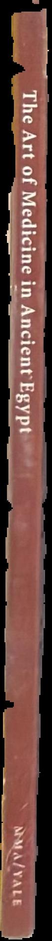 The art of medicine in ancient Egypt live spine