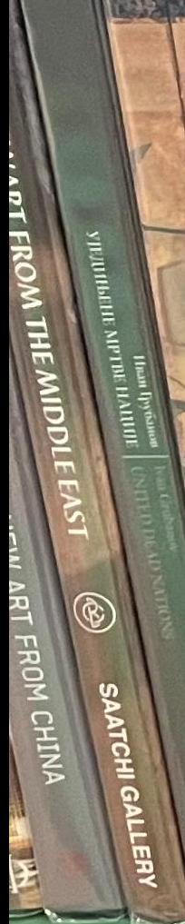 Unveiled : new art from the Middle East live spine