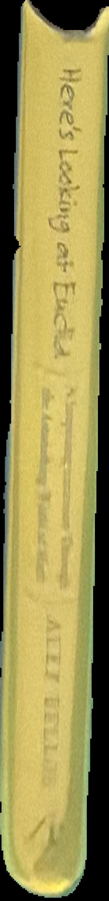 Here's looking at Euclid : a surprising excursion through the astonishing world of math / Alex Bellos live spine