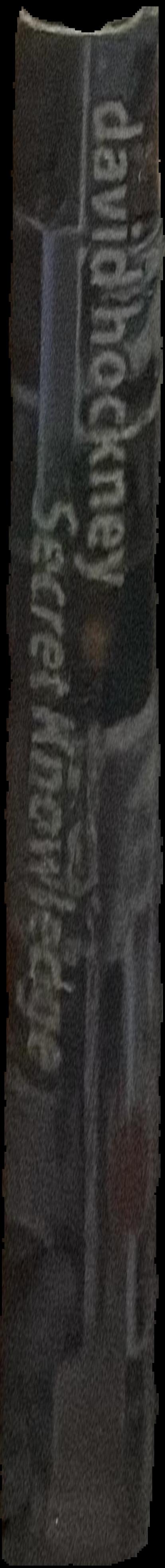 David Hockney live spine