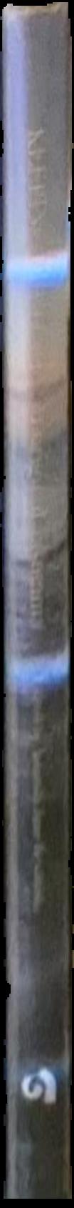 Augustin Lesage : the greatest spirit artist and medium painter of all time live spine