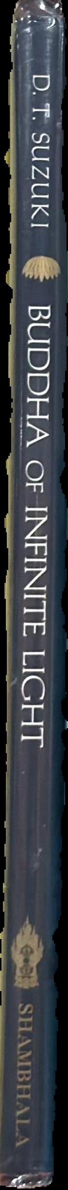 Buddha of infinite light live spine
