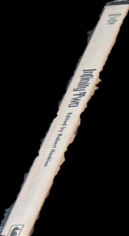Infinity two / edited by Robert Hoskins live spine