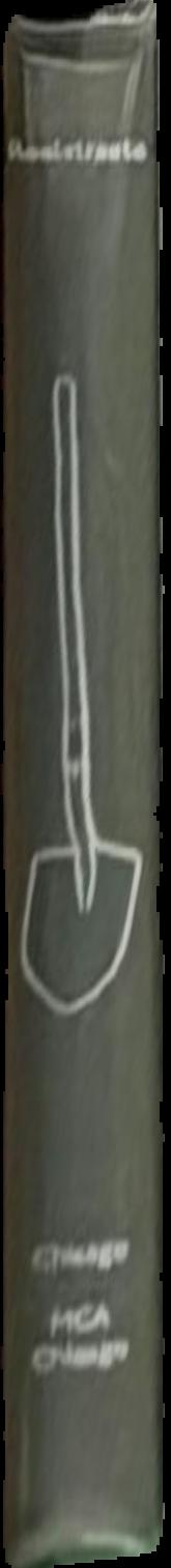 Black Beauty live spine