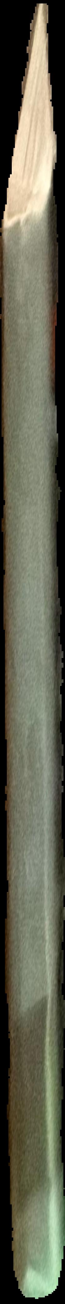 Champagne live spine
