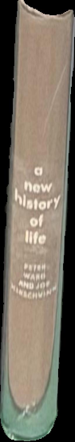 Now to the stars : a story of interplanetary exploration / by Captain W. E. Johns live spine