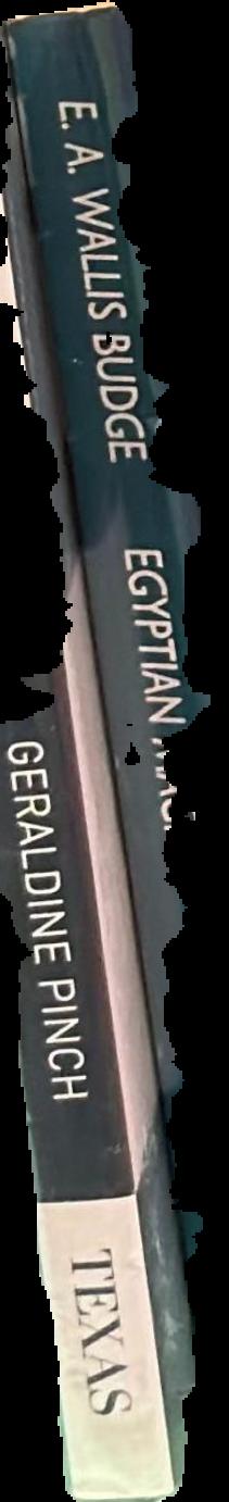 An Egyptian hieroglyphic reading book for beginners live spine