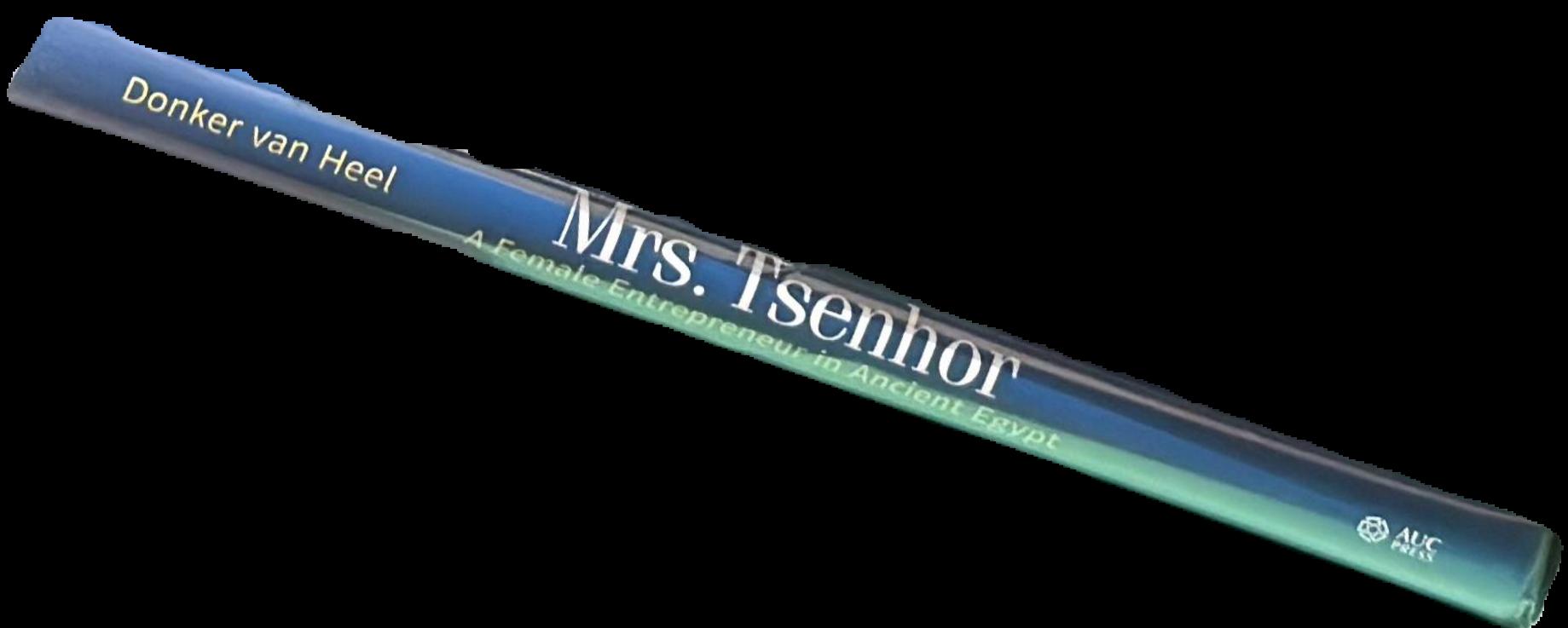 Mrs Tsenhor : a female entrepreneur in ancient Egypt live spine