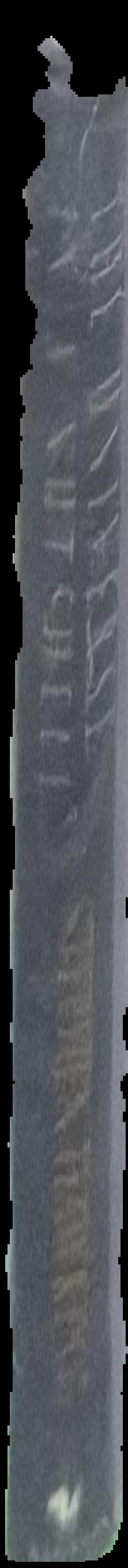 König Albert und seine Sachsen im Felde, 1849, 1866, 1870-1871: Vaterländische Gedenkblätter live spine