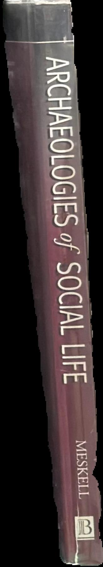 Archaeologies of social life : age, sex, class et cetera in ancient Egypt live spine
