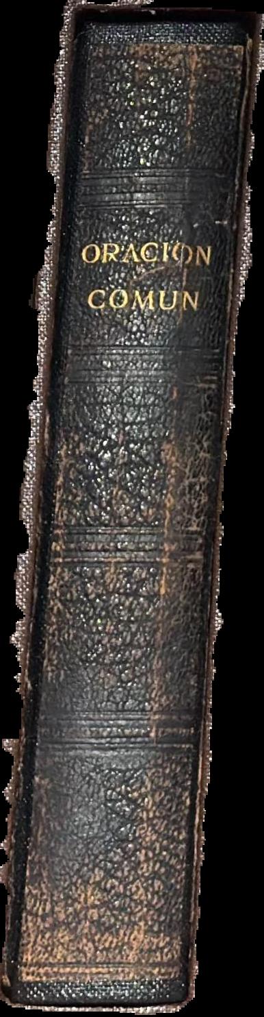 Liturgia anglicana, o Libro de oración común, y administración de los sacramentos, y otros ritos y ceremonias de la Iglesia, según el uso de la Iglesia de Inglaterra Irlanda : juntamente con el Salterio o salmos de David live spine