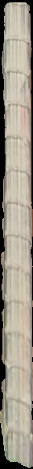 The crystal world / J. G. Ballard live spine