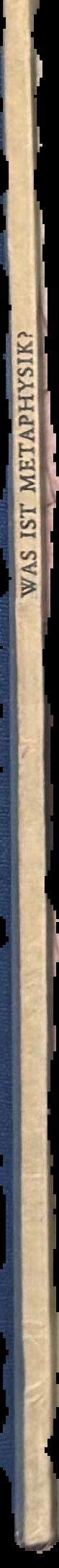 Was ist metaphysik? / Martin Heidegger live spine
