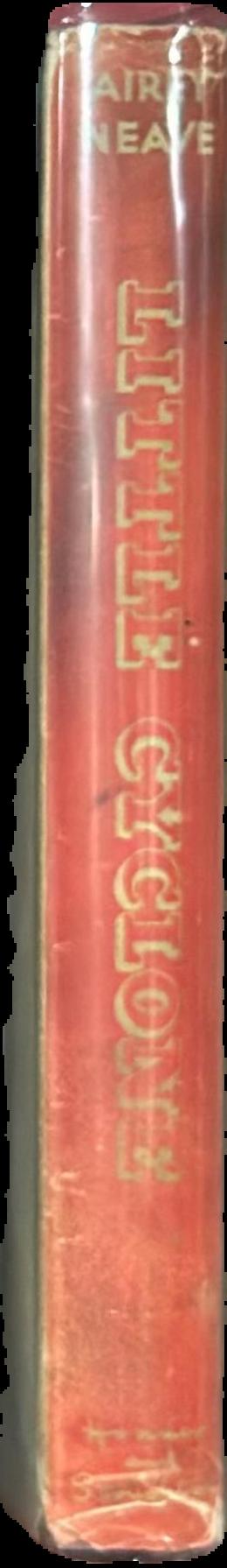 Little Cyclone live spine
