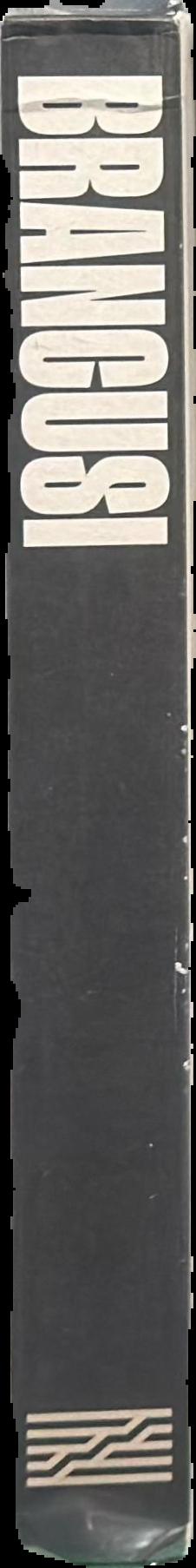 Studies in the theory of descent : volume I live spine