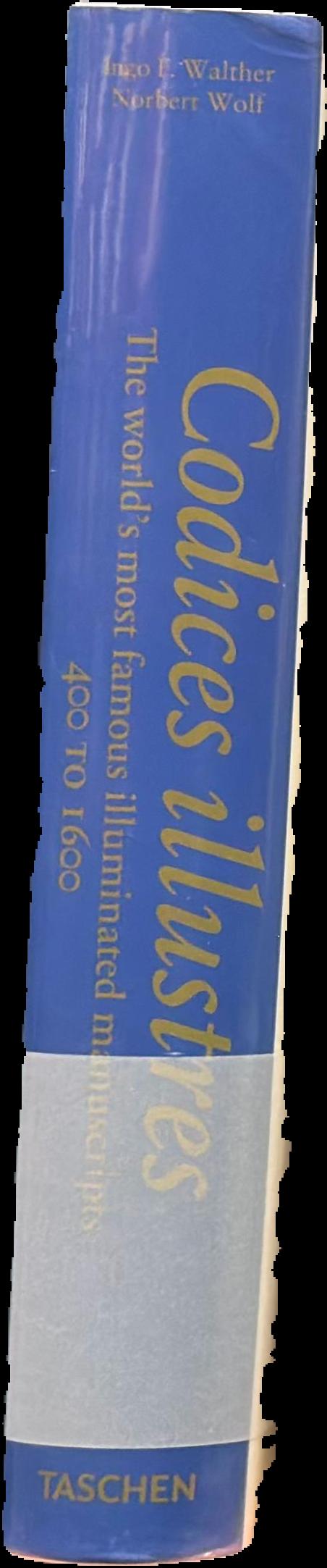 Codices illustres : the world's most famous illuminated manuscripts, 400 to 1600 live spine