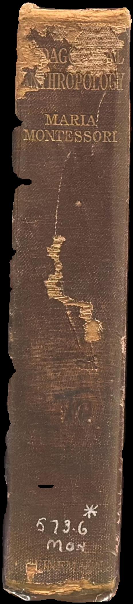 Pedagogical anthropology live spine