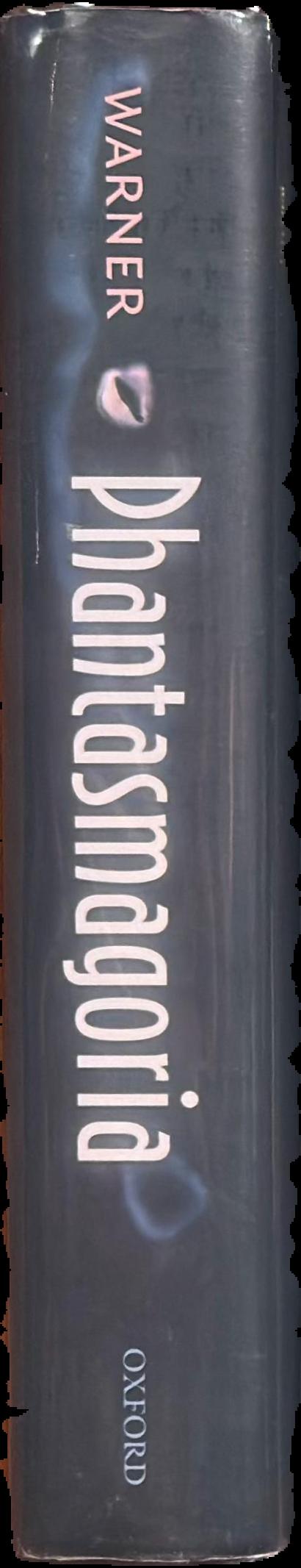 Phantasmagoria : spirit visions, metaphors, and media into the twenty-first century \ Marina Warner live spine