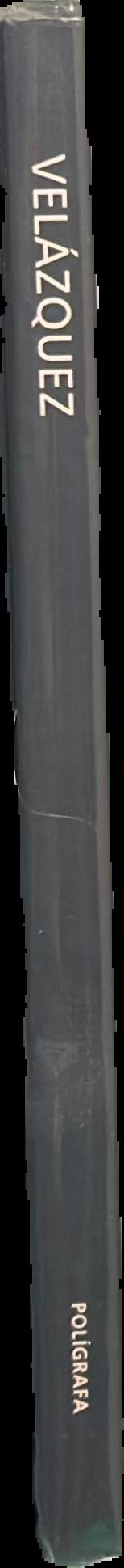 Velazquez live spine