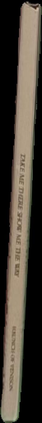 For the love of god : the making of the diamond skull live spine