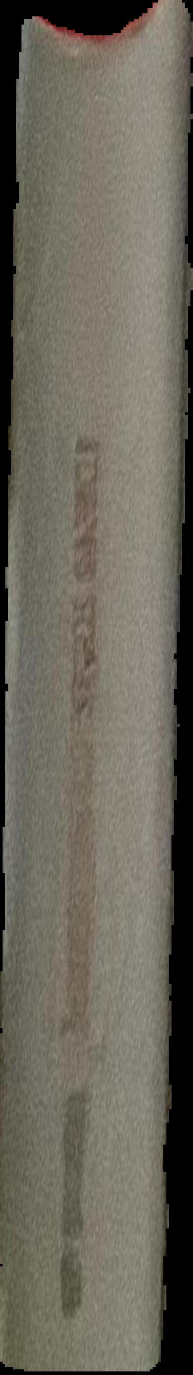 Contemporary Iranian art live spine