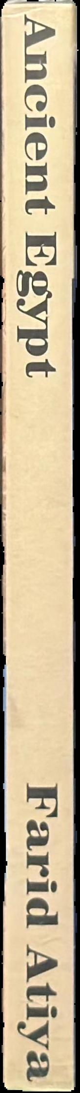 Ancient Egypt live spine