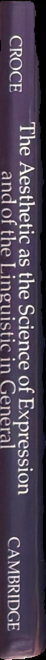 The aesthetic as the science of expression and of the linguistic in general live spine