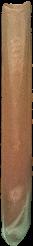 The Pan book of cats / Rose Tenent live spine