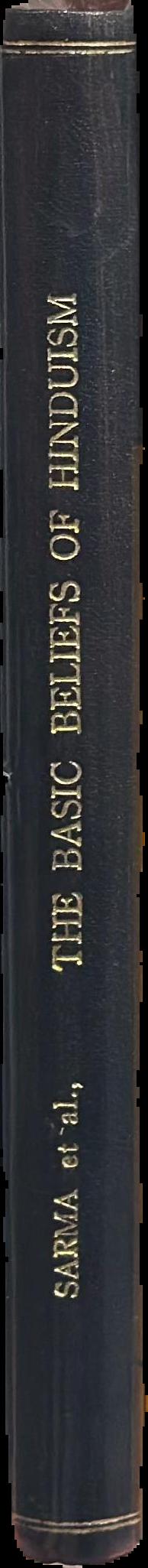 The basic beliefs of Hinduism live spine