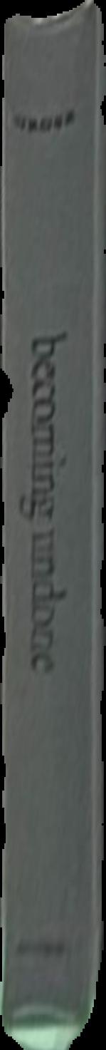 A general theory of visual culture live spine