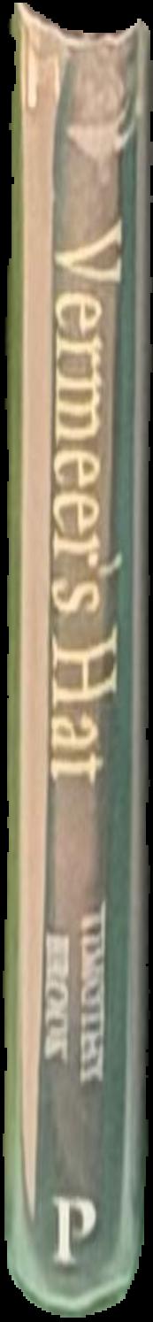 Vermeer's hat : the Seventeenth Century and the dawn of the global world / Timothy Brook live spine