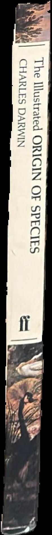 The illustrated origin of species live spine