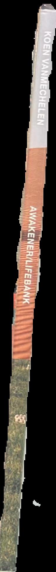 Koen Vanmechelen : awakener/lifebank live spine