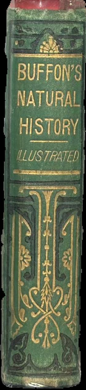 Buffon's natural history live spine