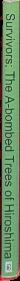 Trees of Paradise and pillars of the world : the serial stela cycle of 18-Rabbit-God K, King of Copan live spine