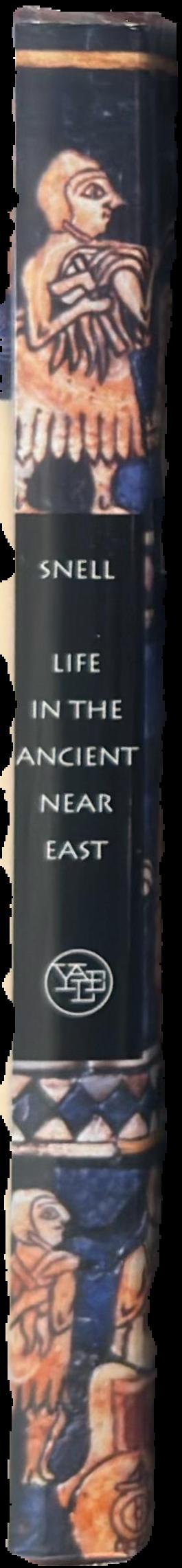 Life in the ancient Near East 3100-332 BCE live spine