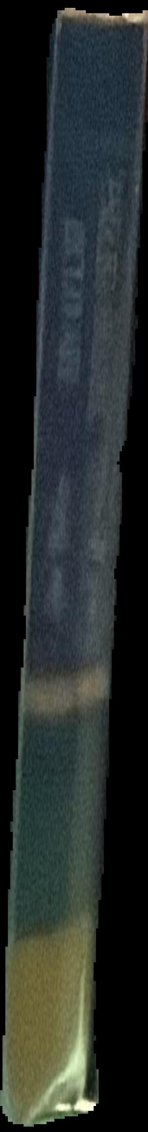 Shen Shaomin : scary monsters live spine