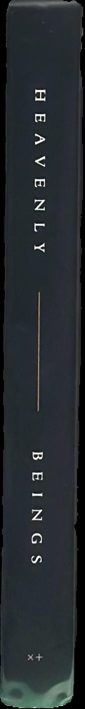 Early buildings of Southern Tasmania, volume one live spine