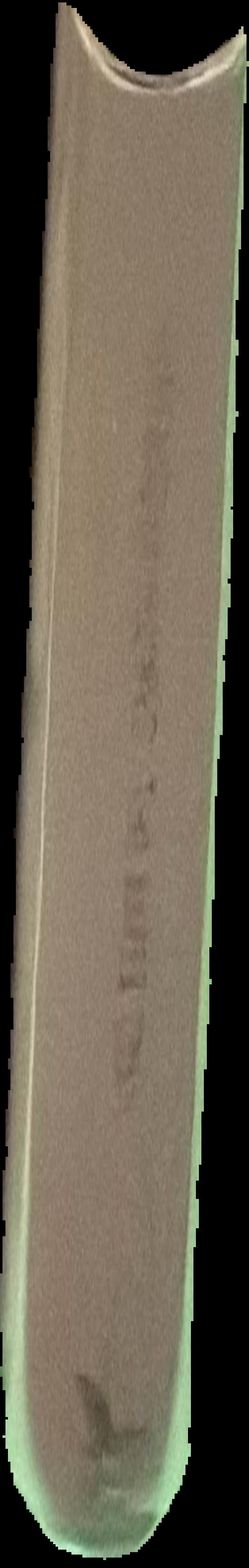 David Chapman 1927-83 : the Tasmanian years live spine