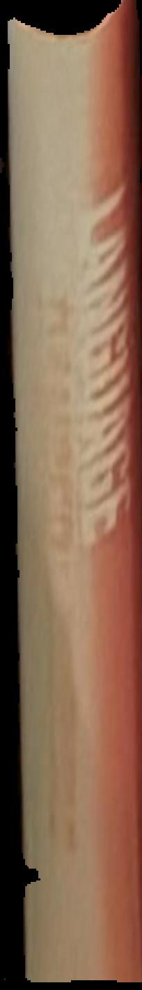 Modern Tibetan language : volume I live spine
