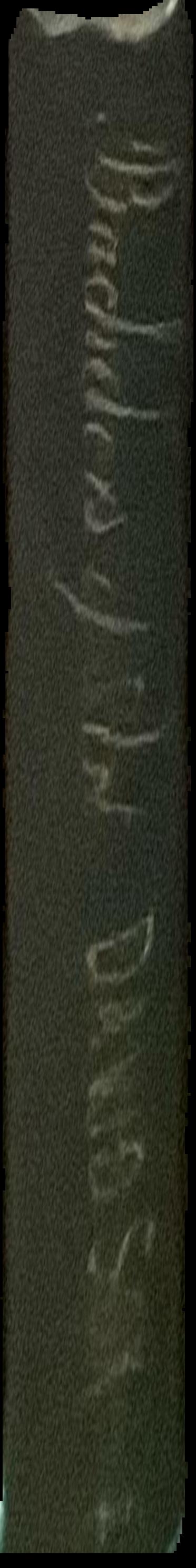 Bauxide live spine