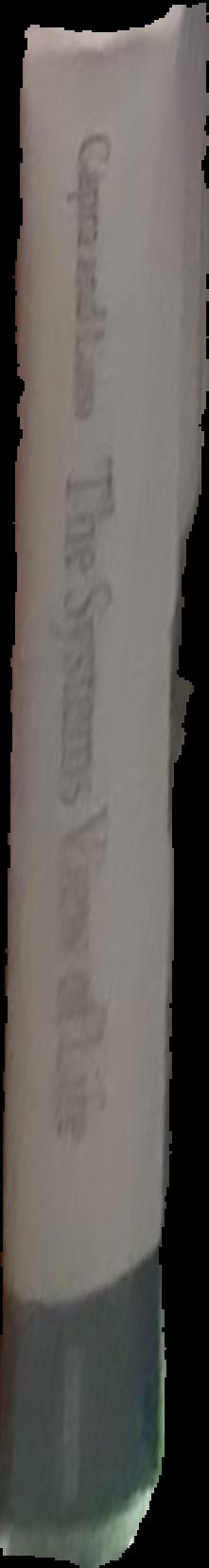Chicot the jester live spine