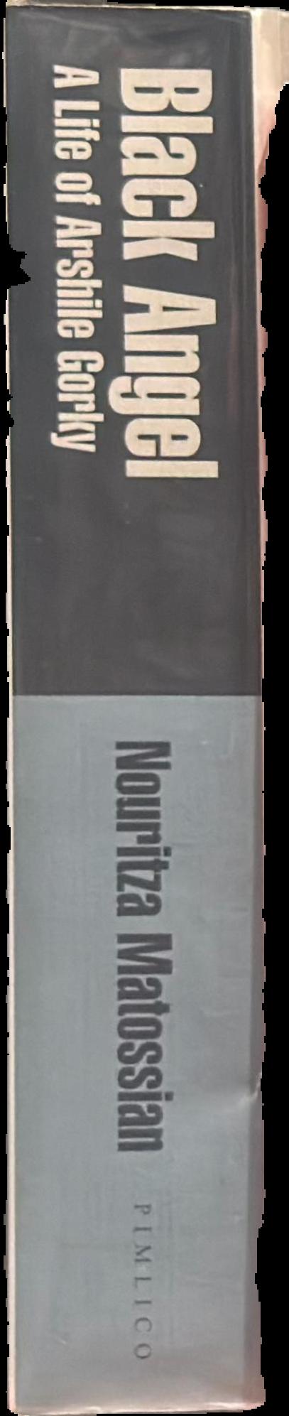 Black angel : a life of Arshile Gorky live spine