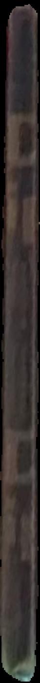 2006 Clemenger contemporary art award live spine