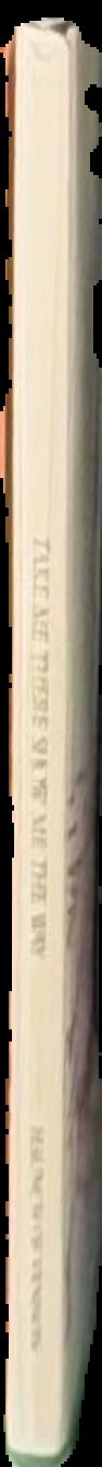 Quantum shadows / L. E.  Modesitt, Jr. live spine