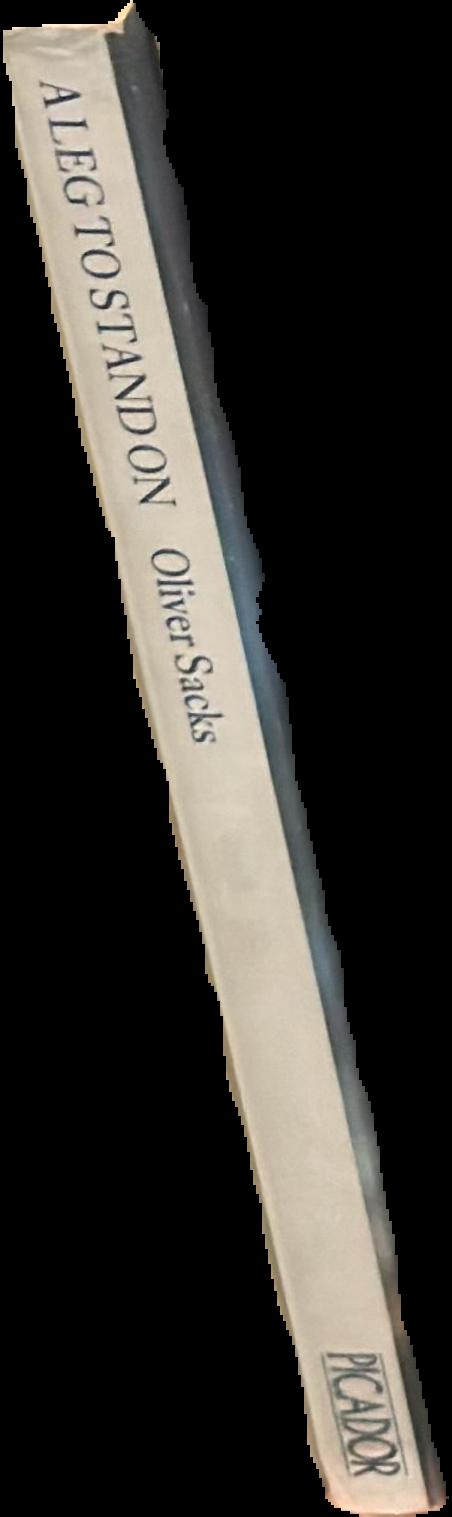 A leg to stand on live spine
