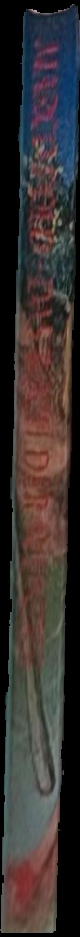 Julian Schnabel live spine