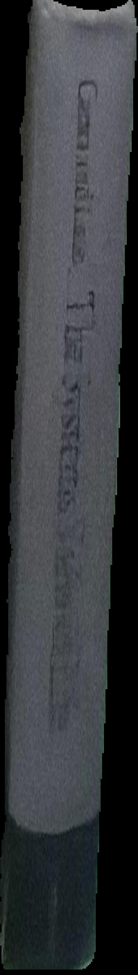 Emergence : labelled autistic live spine