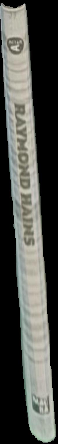 Raymond Hains live spine